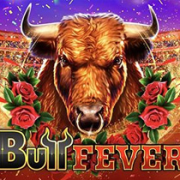 Bull Fever